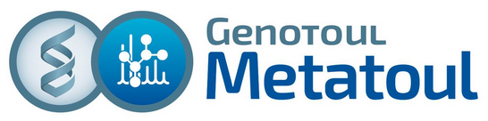 MetaToul logo