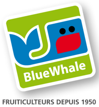 Blue Whale